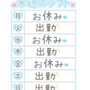 ヒメ日記 2025/08/26 12:43 投稿 こはなさん 鶯谷のデリヘル桃山