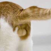 ヒメ日記 2025/08/28 12:33 投稿 こはなさん 鶯谷のデリヘル桃山