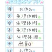 ヒメ日記 2025/08/31 18:05 投稿 こはなさん 鶯谷のデリヘル桃山