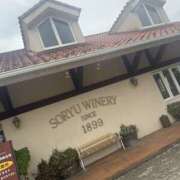 ヒメ日記 2025/09/14 19:39 投稿 こはなさん 鶯谷のデリヘル桃山