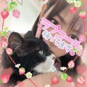 ヒメ日記 2025/10/11 11:54 投稿 こはなさん 鶯谷のデリヘル桃山