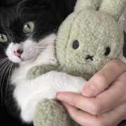 ヒメ日記 2025/11/02 09:44 投稿 こはなさん 鶯谷のデリヘル桃山