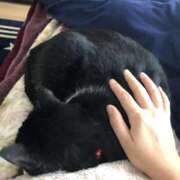 ヒメ日記 2025/11/23 09:41 投稿 こはなさん 鶯谷のデリヘル桃山