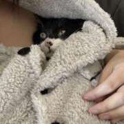 ヒメ日記 2025/11/27 10:49 投稿 こはなさん 鶯谷のデリヘル桃山