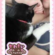 ヒメ日記 2025/12/11 08:18 投稿 こはなさん 鶯谷のデリヘル桃山