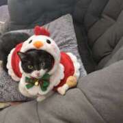 ヒメ日記 2025/12/25 19:37 投稿 こはなさん 鶯谷のデリヘル桃山