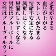 ヒメ日記 2026/01/14 11:40 投稿 こはなさん 鶯谷のデリヘル桃山