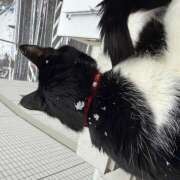 ヒメ日記 2026/02/08 10:21 投稿 こはなさん 鶯谷のデリヘル桃山