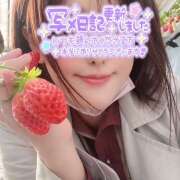 ヒメ日記 2026/03/26 08:59 投稿 こはなさん 鶯谷のデリヘル桃山