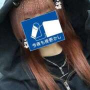 ヒメ日記 2025/11/05 17:03 投稿 うづき【いっぱい甘えていい？】 One More 奥様 新宿店