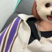 ヒメ日記 2025/11/17 10:02 投稿 うづき【いっぱい甘えていい？】 One More 奥様 新宿店