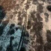 ヒメ日記 2026/02/08 19:46 投稿 うづき【いっぱい甘えていい？】 One More 奥様 新宿店