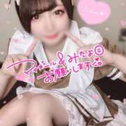 ヒメ日記 2025/08/16 08:30 投稿 ひめか☆恋に落ちるかも…☆ アネキャンモード