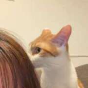 ヒメ日記 2025/11/06 23:10 投稿 さや 俺のKissリフレ