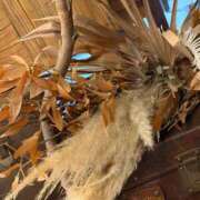 ヒメ日記 2025/11/13 12:30 投稿 凛茉(りま) ダイスキ