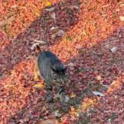 ヒメ日記 2025/12/09 09:03 投稿 凛茉(りま) ダイスキ