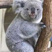 ヒメ日記 2026/03/24 19:24 投稿 凛茉(りま) ダイスキ