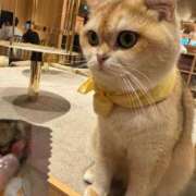 ヒメ日記 2025/09/23 21:20 投稿 るりな 極楽城(ゴクラクジョウ)