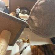 ヒメ日記 2025/12/24 22:44 投稿 るりな 極楽城(ゴクラクジョウ)