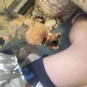 ヒメ日記 2025/12/25 13:12 投稿 るりな 極楽城(ゴクラクジョウ)