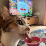 るりな しばらくお休み 極楽城(ゴクラクジョウ)