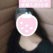 ほのか 2回目出勤😆 しろうと娘in新宿