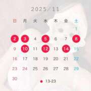 ヒメ日記 2025/10/24 17:00 投稿 ありさ CECIL