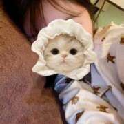 ヒメ日記 2025/11/20 17:09 投稿 ありさ CECIL