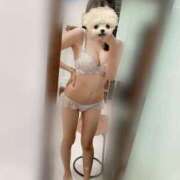 ヒメ日記 2026/02/22 12:02 投稿 ありさ CECIL