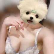 ヒメ日記 2026/02/28 12:07 投稿 ありさ CECIL