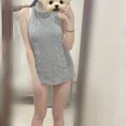 ありさ えち🩶 CECIL