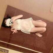 ヒメ日記 2026/04/11 10:01 投稿 ありさ CECIL