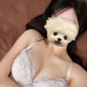 ヒメ日記 2026/04/12 11:01 投稿 ありさ CECIL