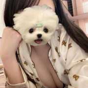 ヒメ日記 2026/04/24 12:02 投稿 ありさ CECIL