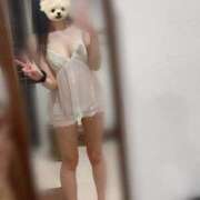 ヒメ日記 2026/04/28 12:01 投稿 ありさ CECIL