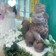 ヒメ日記 2025/09/16 14:01 投稿 さくら ハンドメイドコレクション太田