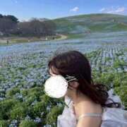 ヒメ日記 2025/10/01 14:59 投稿 さくら ハンドメイドコレクション太田