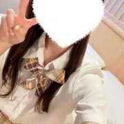 ヒメ日記 2025/11/18 09:44 投稿 さくら ハンドメイドコレクション太田