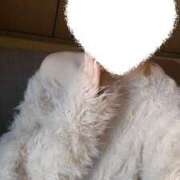 ヒメ日記 2026/02/02 13:17 投稿 さくら ハンドメイドコレクション太田