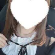 さくら 触って？ ハンドメイドコレクション太田