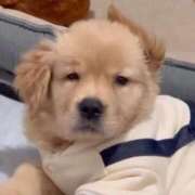 朝比奈のぞみ まってます🐶 ハプニング痴漢電車or全裸入室