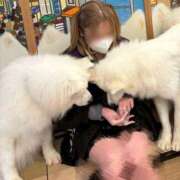 ヒメ日記 2025/12/23 07:48 投稿 美羽【みう】 丸妻 西船橋店