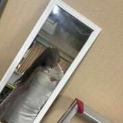 ヒメ日記 2026/05/11 08:21 投稿 水樹(みずき) 八王子人妻城