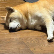 ヒメ日記 2025/10/06 14:35 投稿 うゆ バイオレンス