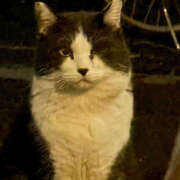 ヒメ日記 2025/11/14 00:57 投稿 うゆ バイオレンス