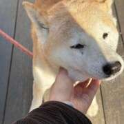 ヒメ日記 2026/03/12 10:17 投稿 うゆ バイオレンス