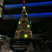 ヒメ日記 2025/11/25 00:09 投稿 りみ 白い巨乳