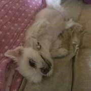 ヒメ日記 2025/08/10 20:59 投稿 もえ 熟女の風俗最終章　越谷店