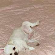 ヒメ日記 2025/08/23 14:02 投稿 もえ 熟女の風俗最終章　越谷店