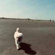 ヒメ日記 2025/08/24 01:02 投稿 もえ 熟女の風俗最終章　越谷店